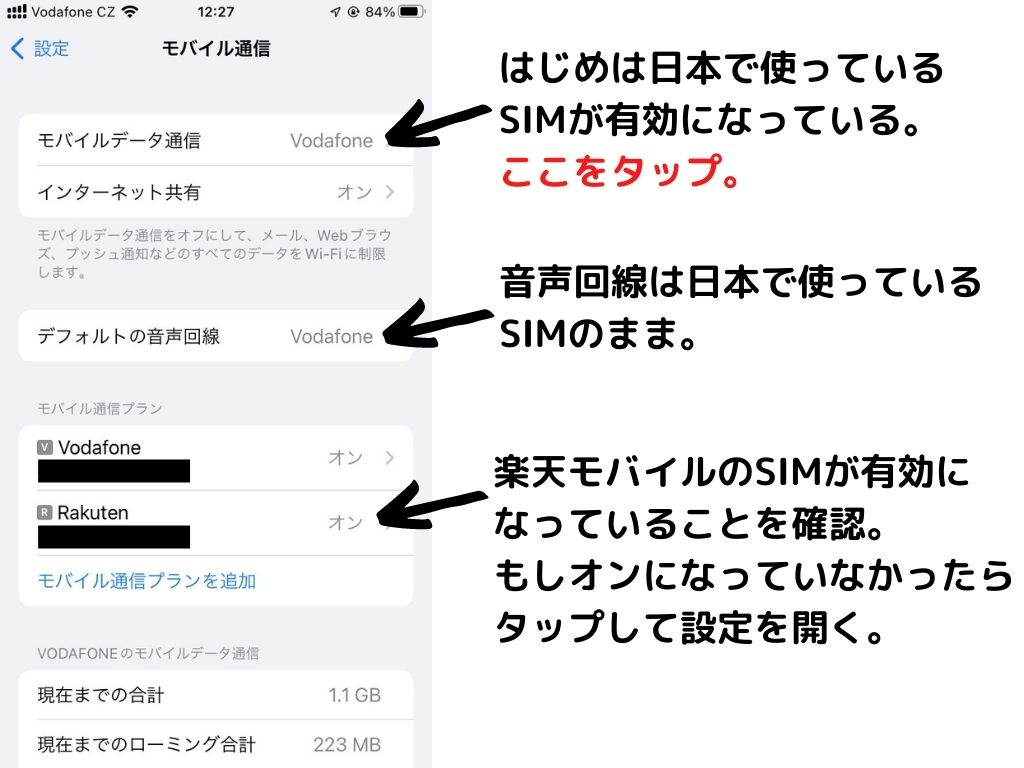 SIM_iOS_2