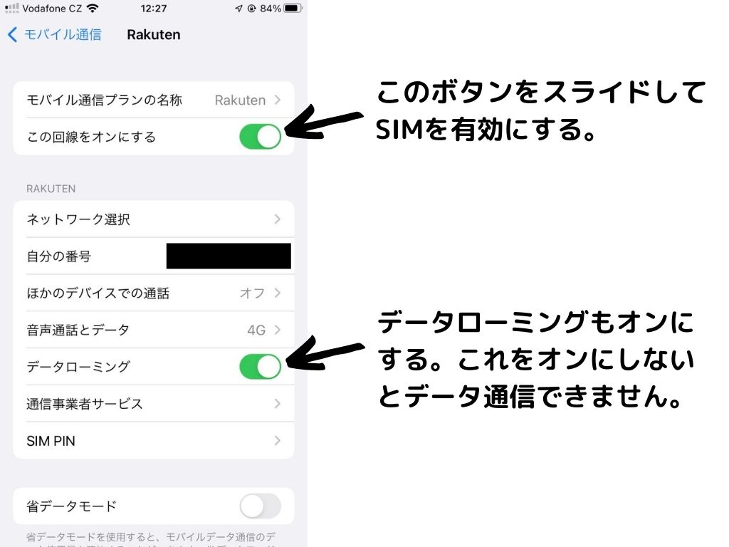 SIM_iOS_3