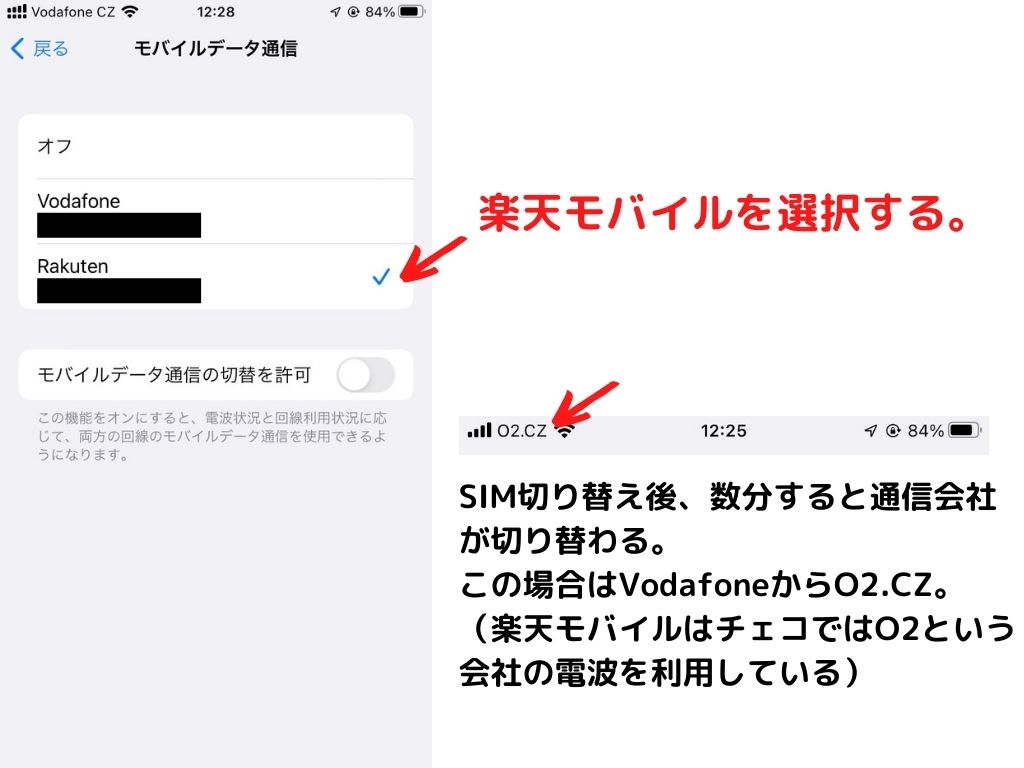 SIM_iOS_4